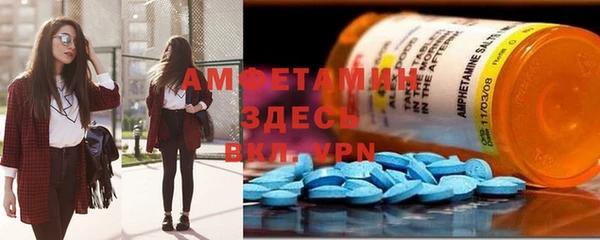 индика Володарск