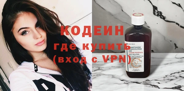 индика Володарск