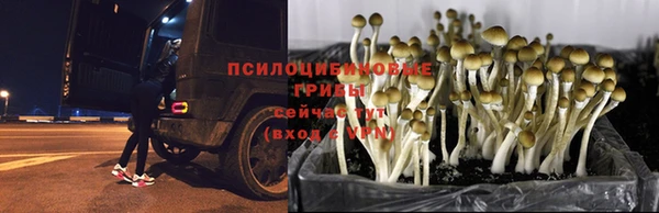 мет Волоколамск