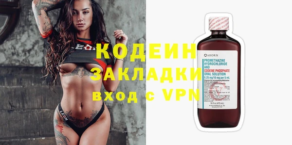 индика Володарск