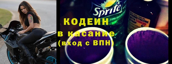 индика Володарск