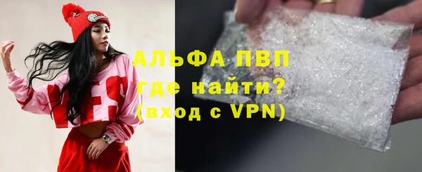 индика Володарск