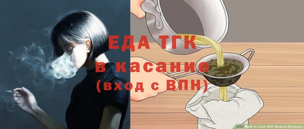 индика Володарск