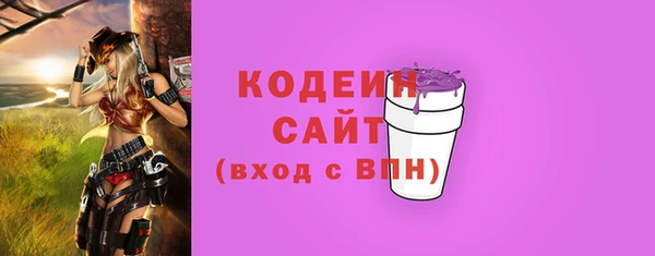 индика Володарск