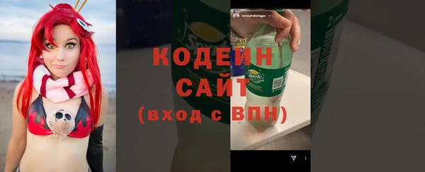 индика Володарск