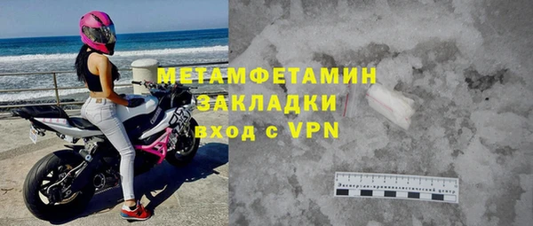 индика Володарск