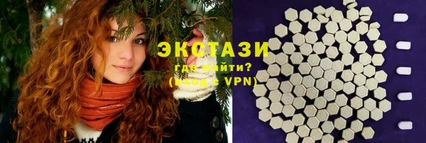 индика Володарск