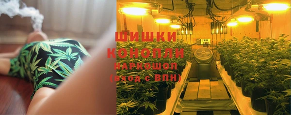 индика Володарск