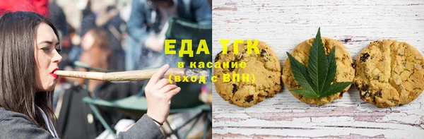 индика Володарск