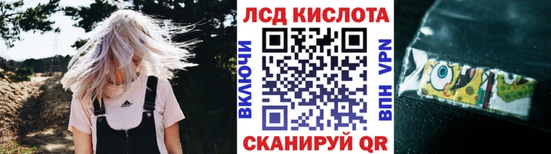 kraken ССЫЛКА  даркнет клад  Лыткарино  Наркотические марки 1,5мг  купить наркотик 